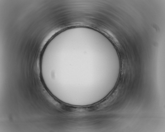 X0000113910796200910151416