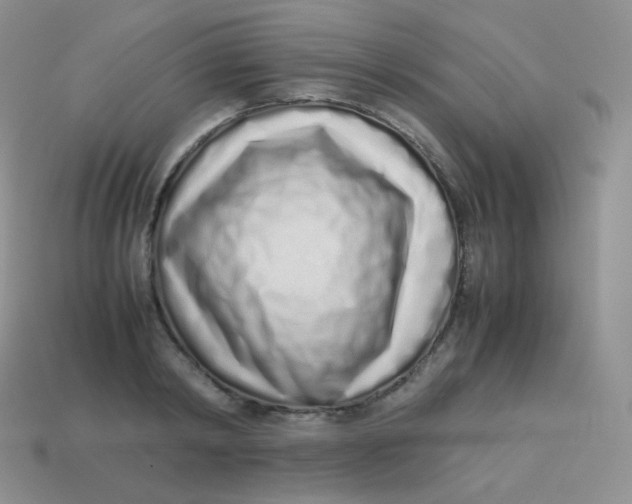 X0000113910798200910151416