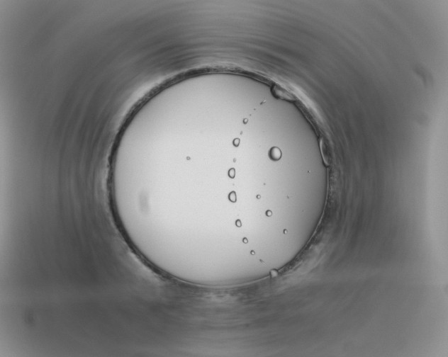 X0000113910799200910151416