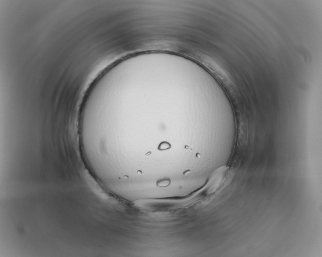 X0000113910800200910151416