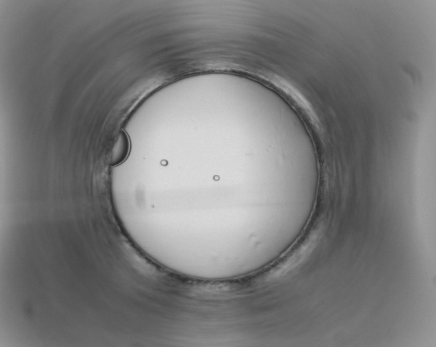 X0000113910801200910151416