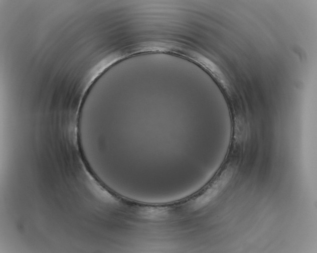 X0000113910802200910151416