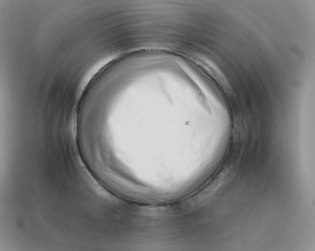 X0000113910804200910151416