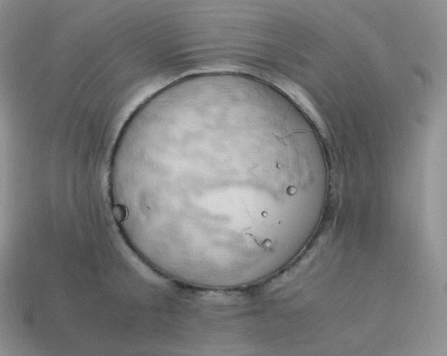 X0000113910805200910151416