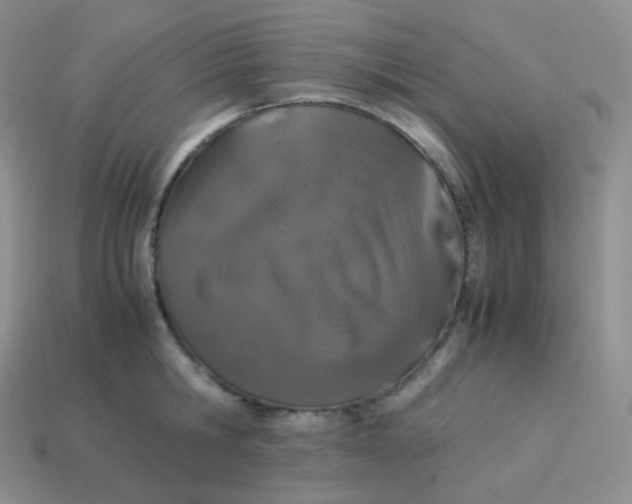 X0000113910806200910151416