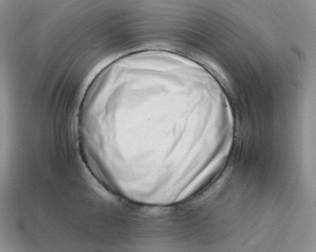 X0000113910808200910151416