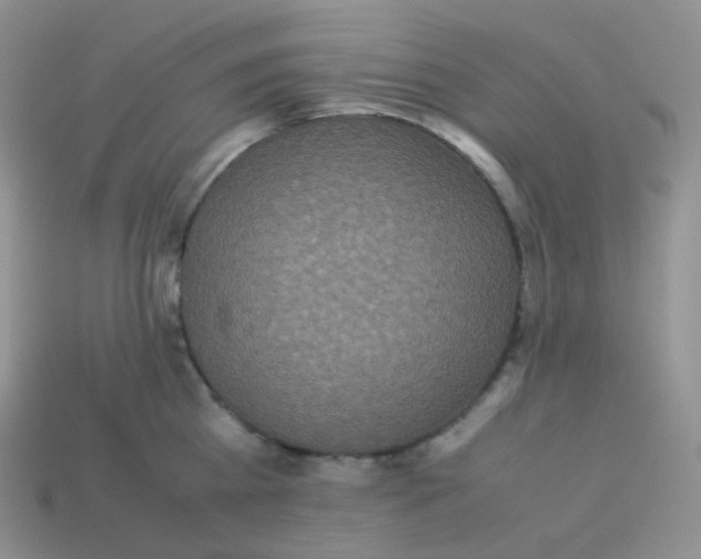 X0000113910809200910151416