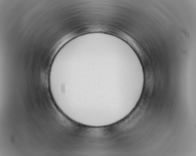 X0000113910810200910151416