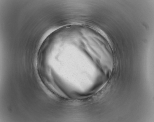 X0000113910811200910151416