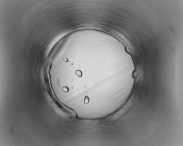 X0000113910812200910151416