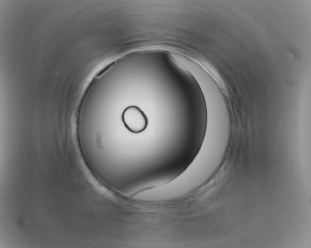 X0000113910813200910151416