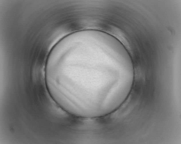 X0000113910814200910151416