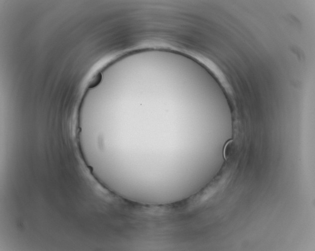 X0000113910815200910151416