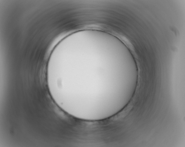 X0000113910816200910151416