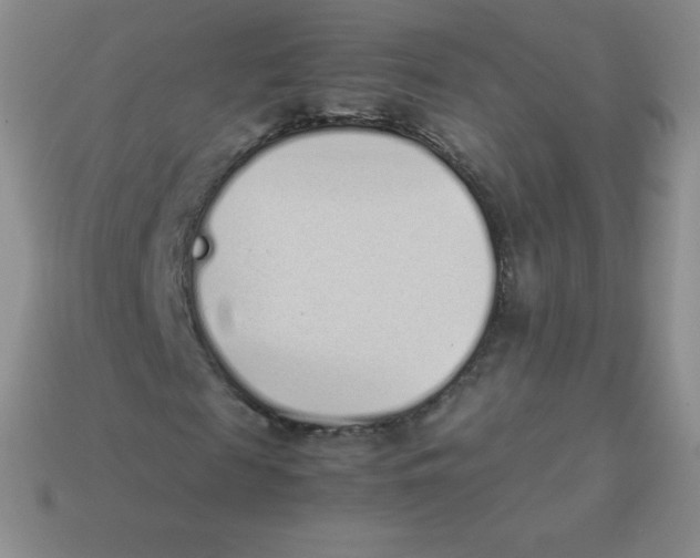 X0000113910817200910151415