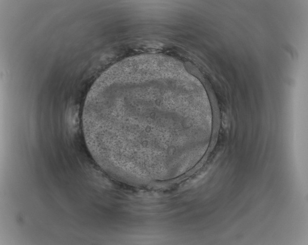 X0000113910818200910151415