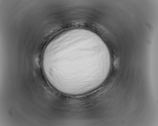 X0000113910819200910151416