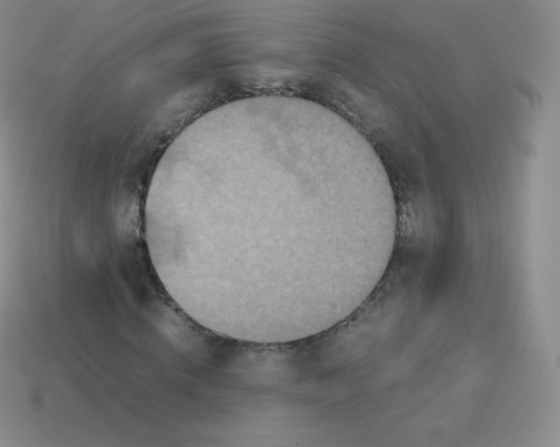 X0000113910820200910151416