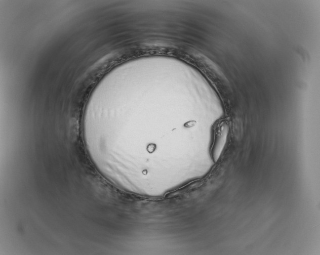 X0000113910821200910151416