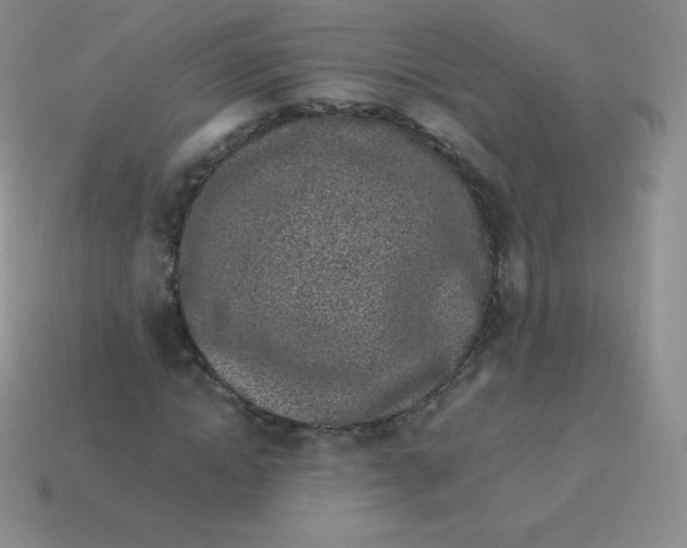 X0000113910822200910151416