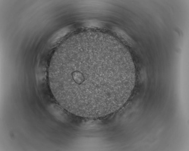 X0000113910824200910151416