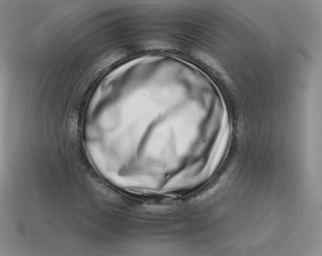 X0000113910825200910151416