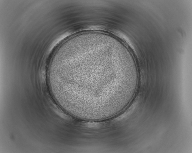 X0000113910827200910151416