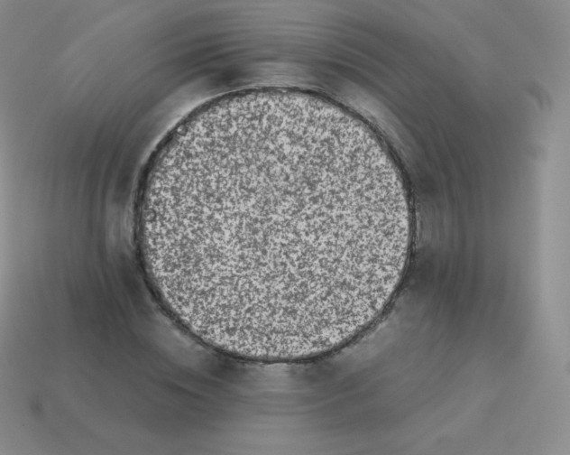 X0000113910828200910151416