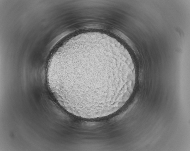 X0000113910829200910151416