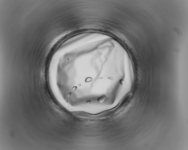 X0000113910830200910151416