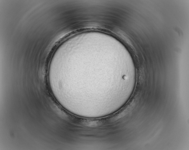 X0000113910831200910151416