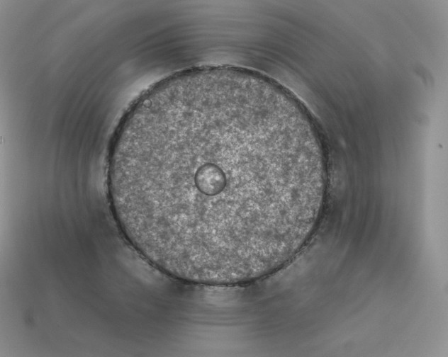 X0000113910832200910151416