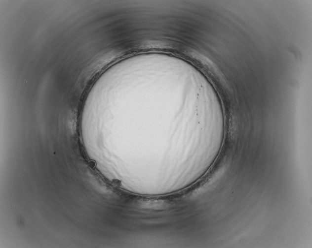 X0000113910833200910151416