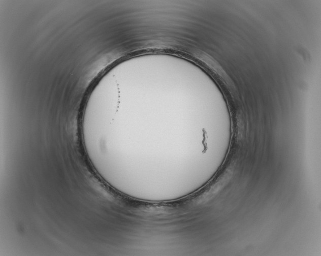 X0000113910834200910151416