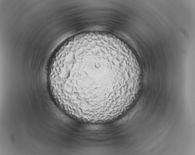 X0000113910835200910151416