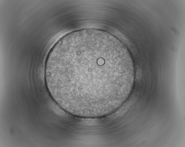 X0000113910836200910151416