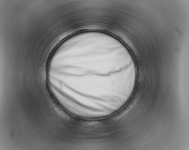 X0000113910837200910151416