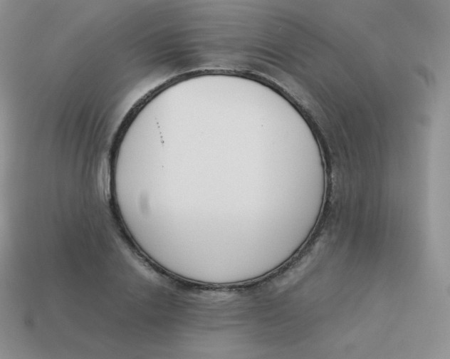 X0000113910838200910151416