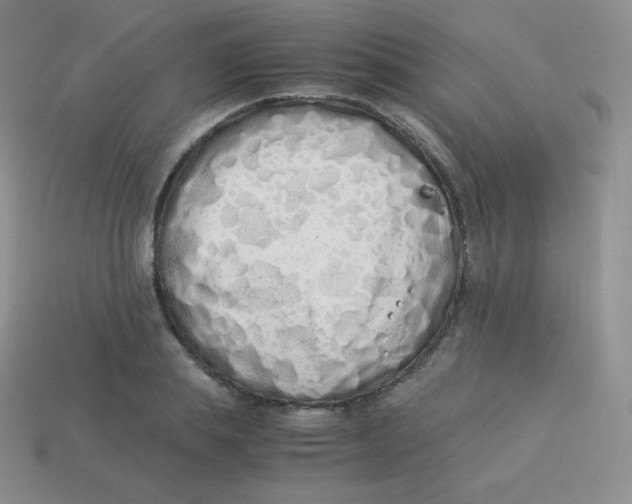 X0000113910839200910151416