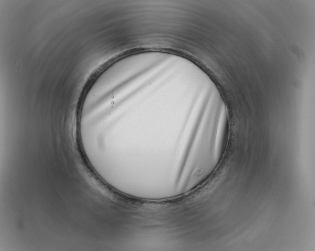 X0000113910840200910151416