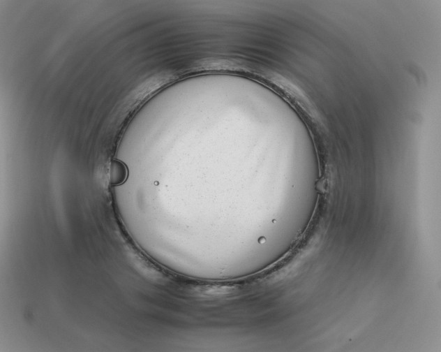 X0000113910841200910151416