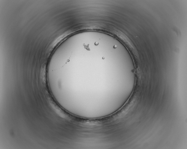 X0000113910842200910151416