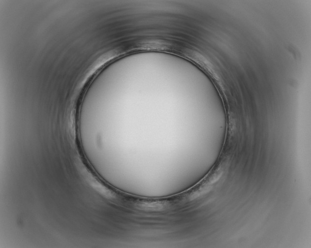 X0000113910843200910151416