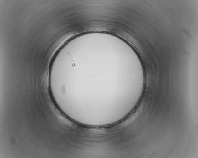 X0000113910844200910151416