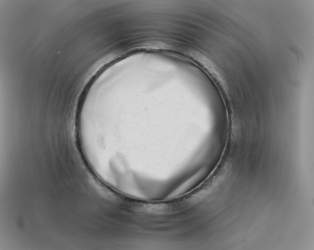 X0000113910845200910151416