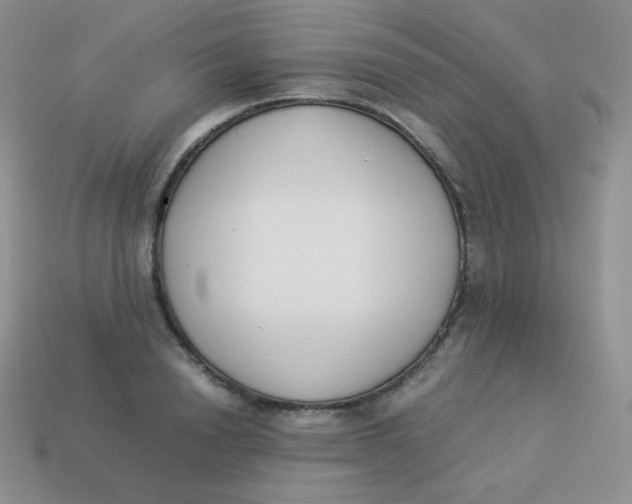 X0000113910846200910151416