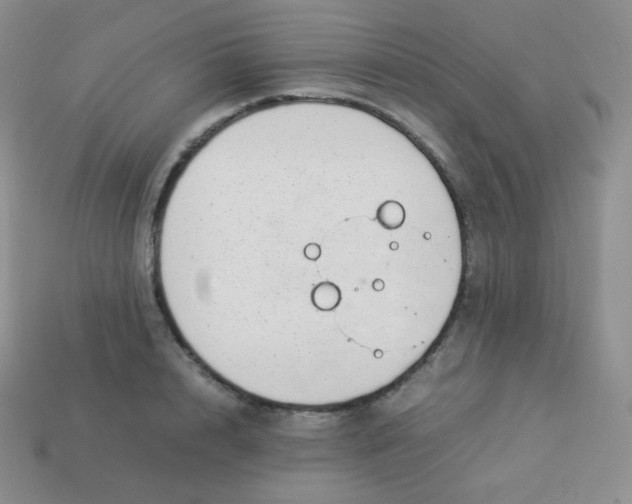 X0000113910848200910151416