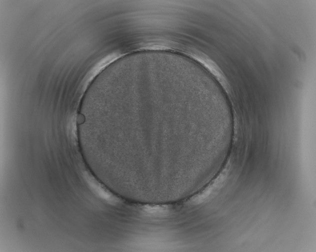 X0000113910850200910151416