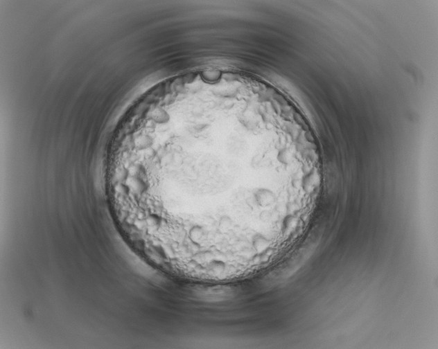 X0000113910851200910151416