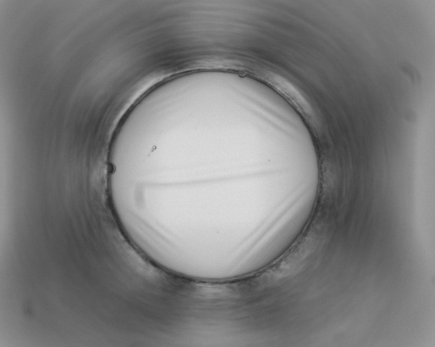 X0000113910852200910151416